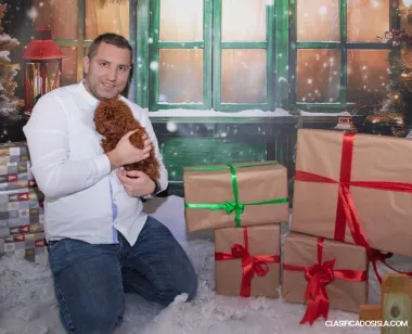 Caniche rojo taza de té disponible para la cría
