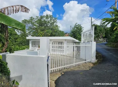 Lot 3 Sector El Jurutungo Bo. Guaragao BAYAMON, PR 00957