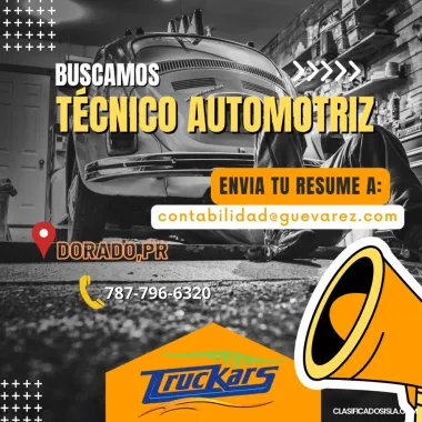 TECNICO AUTOMOTRIZ