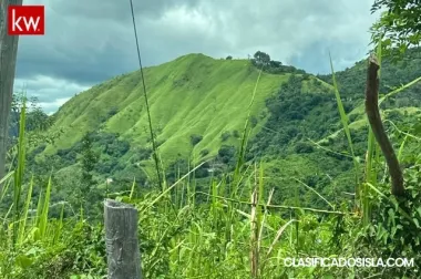 Terreno en Bo Tabonuco Patillo