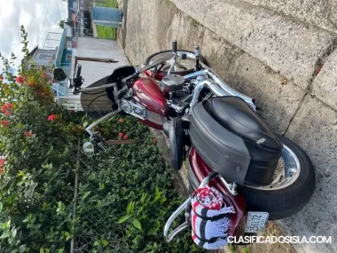 Harley softail custom