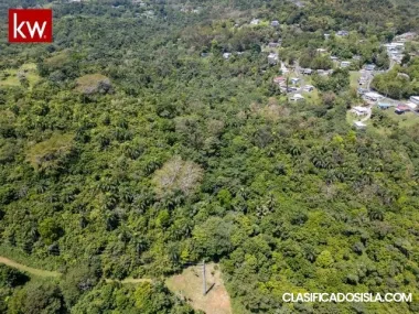 Bo. Galateo, Finca 8 cuerdas