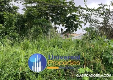 Camuy Bo Zanjas Sector Viequez