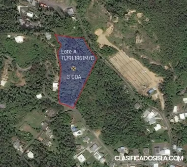 Finca Caguas Bo Cañaboncito