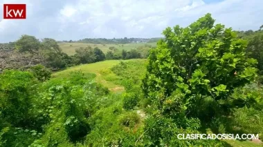 Bo Membrillo, Dos Solares en Camuy