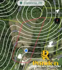 ¡ NUEVO EN EL MERCADO! TOA ALTA