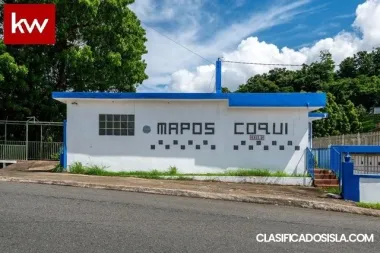 Bo. Las Cuevas, Propiedad Comercial