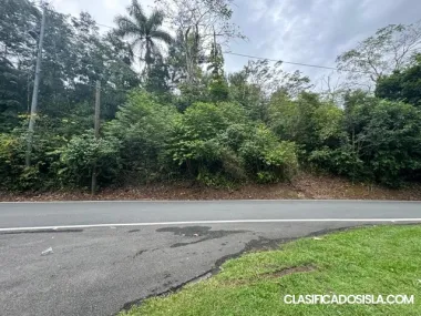 Caguas Bo Cañaboncito