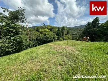 Bo. Mamey, Solar en Guaynabo