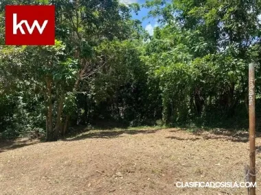 Bo. Pollos, Finca en Patillas