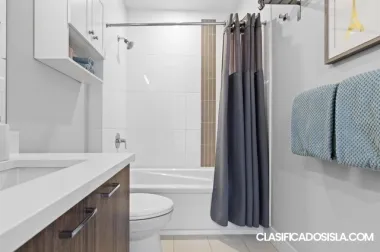 1 bed and 1 bathroom apartment