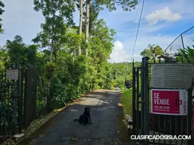 BO. BORINQUEN-GUAVATE 2 SOLARES