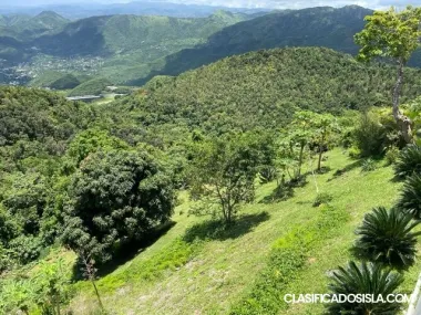 CERCADILLO- 13.9 cuerdas