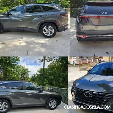 Hyundai Tucson 2022 Full Label