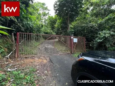 Bo. Palmas, Terreno en Guayama