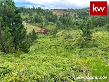 Terreno en Bo. Barrancas