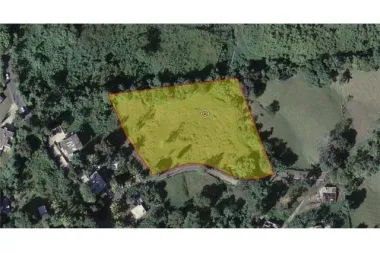 Borinquén Atravesada carretera 763