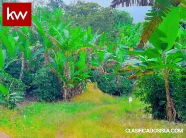 Bo. Monte Llano, Terreno en Ponce