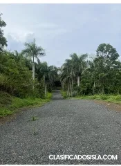 VENTA TERRENO CANOVANILLAS