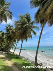 1HAB 1ba @mansión surfside