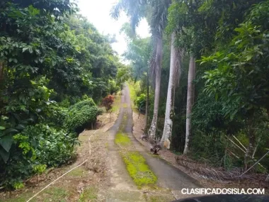 finca con 6.25 cuerdas con casa