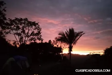 Finca Agricola. Bo. Tabonuco