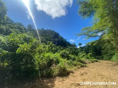 BARRIO ARROZAL y MIRAFLORES- Finca