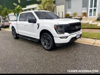 F-150 FX4 (Panorámica)