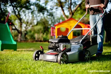 Servicios de jardinería San Sebastian 