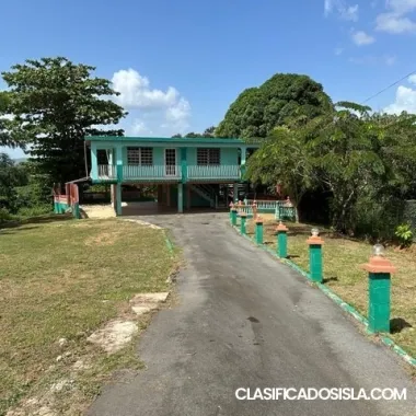 BO.PINAS C/AMAPOLA C1 (15)