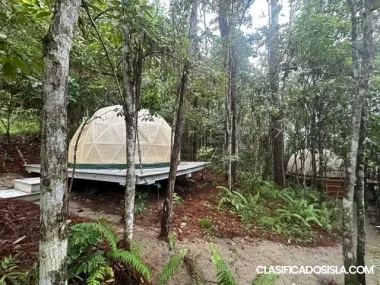 Finca 20 Cuerdas, Cayey. $475K,