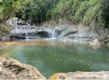 Eden 5D – Un Paraíso de 196-Cuerdas