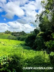 Bo. Jagual Sect La Ponderosa