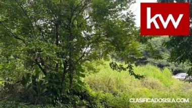 Terreno en Bo. Carraizo