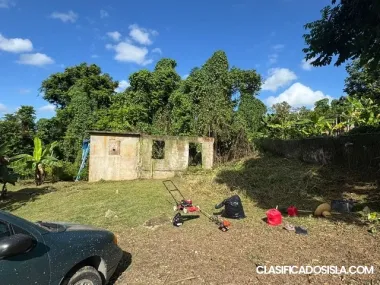 Beatriz Caguas campo