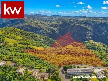 Bo. Honduras, Finca en Barranquitas