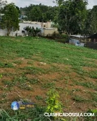 Isabela Bo Arenales Altos