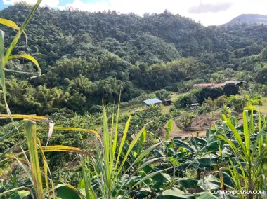 Barrio Toro Negro, Ciales PR
