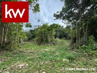 Bo. Berrocal, Finca en Hatillo