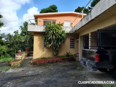 BO. MATA DE PLATANO (7)