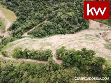 Terreno en Bo. Palos Blancos