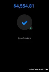 Comerciante de criptomonedas/analista/entrenador.