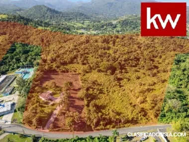 Bo. Mameyes, Finca en Rio Grande