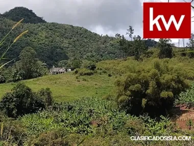 Terreno en Bo. Helechal