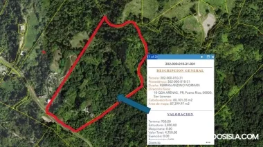 Finca en Bo. Cerro Gordo