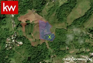 Bo Helechal, Terreno en Barranquita