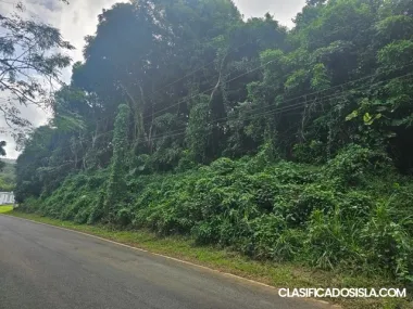 Finca Bo. Saco Rio Abajo Ceiba