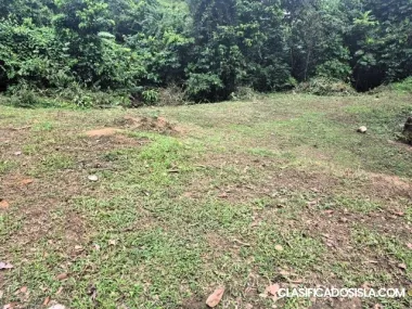 Bo. Vivi Abajo, Utuado