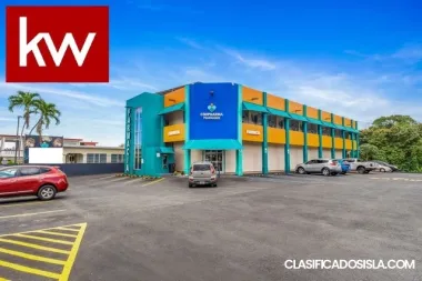 Bo. Magueyes, Local Comercial