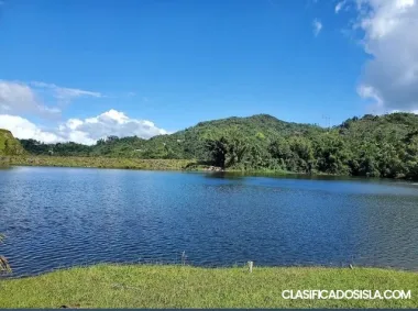 Bo. Río Blanco, Naguabo